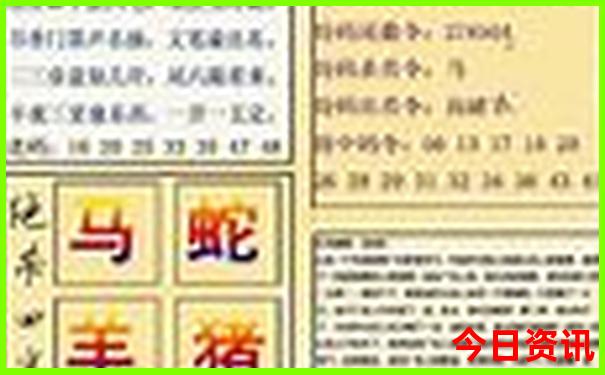 王启航个人资料